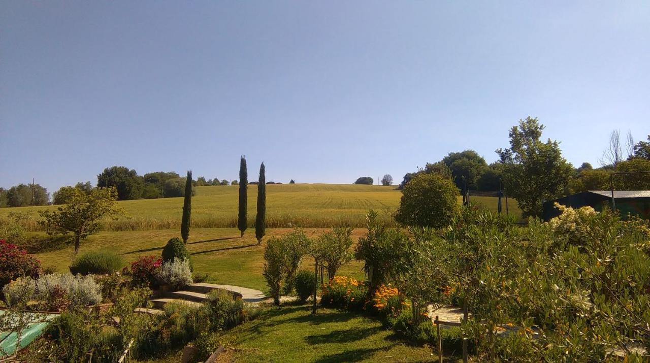 Villa Nobile Cortona Eksteriør billede